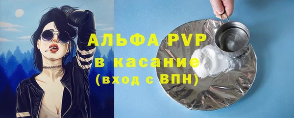 шишки Баксан
