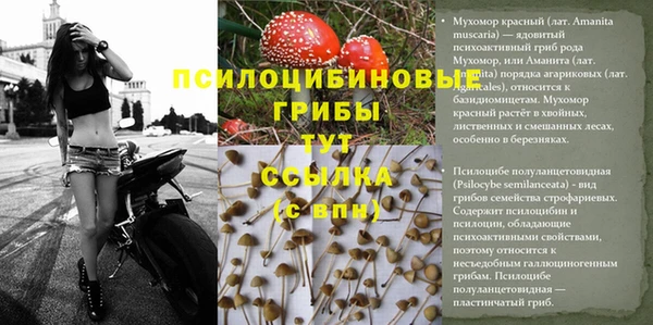 мескалин Балахна