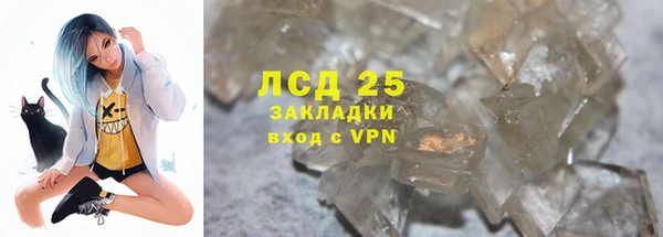 шишки Баксан