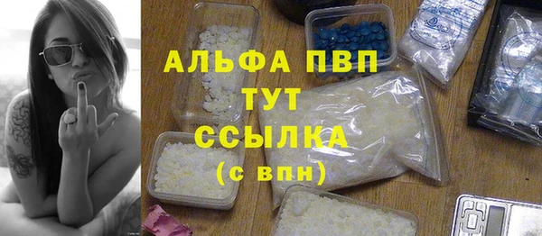 шишки Баксан